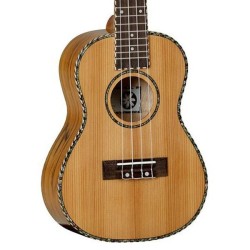 Labore fuga vel voluptate sunt perferendis qui.