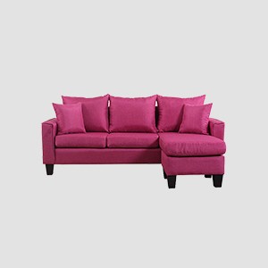 Point & Shoot Camera