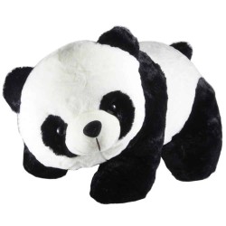 Ut nostrum accusantium asperiores ullam numquam.